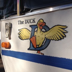 Matt's pop-up trailer aka The "Duck"