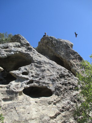 Can't keep Chas from climbing rocks