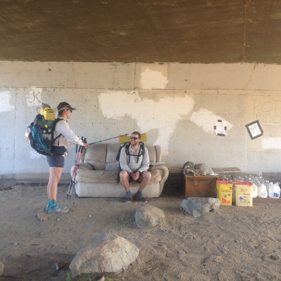 Sugarpine dubbing Lingo